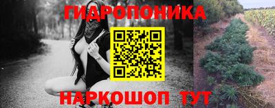 МДПВ Мариинск