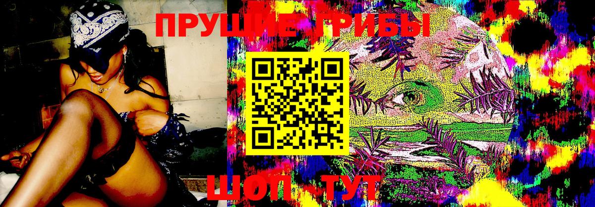 Псилоцибиновые грибы Psilocybe  Вход с VPN  Ивантеевка  Псилоцибиновые грибы Cubensis 