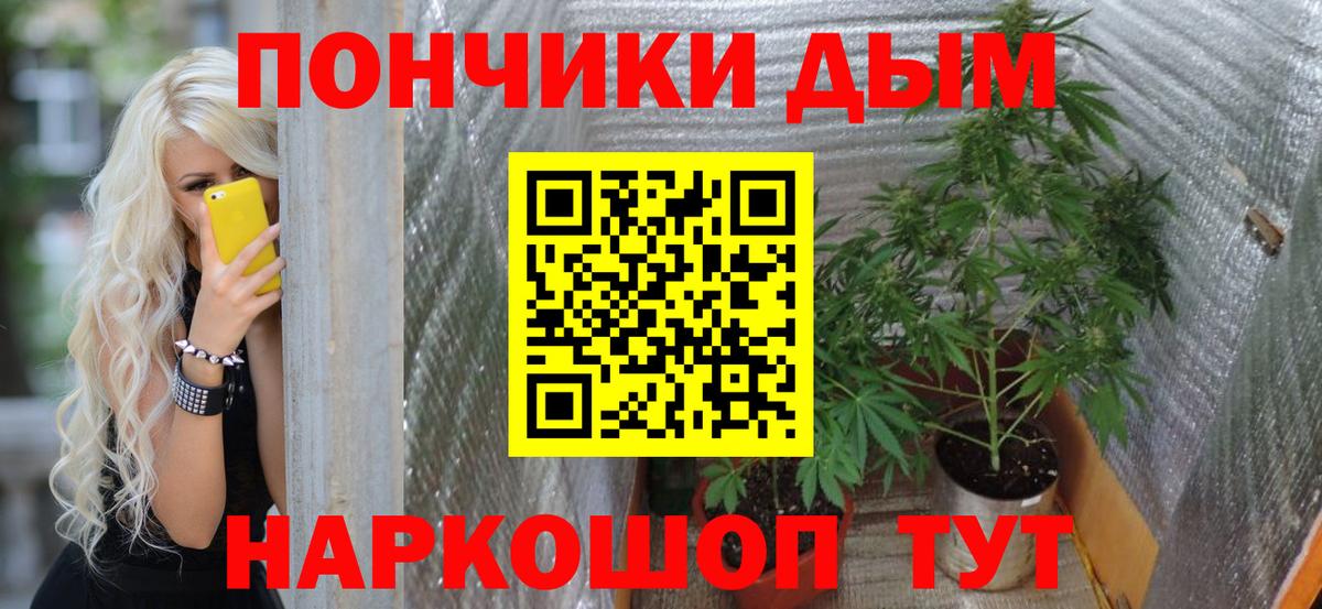 Бошки Шишки ГИДРОПОН  Каннабис SATIVA & INDICA  Ивантеевка  Бошки марихуана планчик  Бошки Шишки Ganja  Вход с VPN 